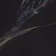 ヒメ日記 2026/02/17 06:22 投稿 ゆきな 萌えカワ