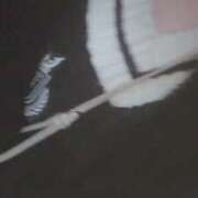 ヒメ日記 2026/02/24 06:22 投稿 ゆきな 萌えカワ