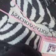 ヒメ日記 2026/03/21 06:22 投稿 ゆきな 萌えカワ