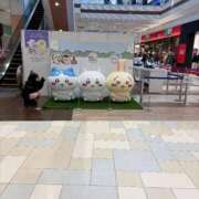 ヒメ日記 2026/03/23 17:02 投稿 ゆきな 萌えカワ