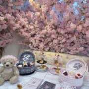 ヒメ日記 2026/03/30 13:12 投稿 ゆきな 萌えカワ