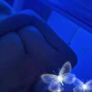 ヒメ日記 2025/07/31 18:21 投稿 あこ 渋谷蘭の会