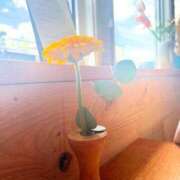 ヒメ日記 2025/08/10 00:09 投稿 九条鈴花(くじょうりんか) 九州熟女　熊本店