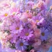 ヒメ日記 2025/09/25 19:19 投稿 九条鈴花(くじょうりんか) 九州熟女　熊本店