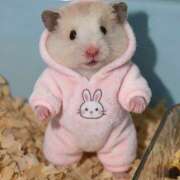 ヒメ日記 2025/09/14 20:46 投稿 のあ non-non 神田(ノンノン神田)