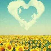 ヒメ日記 2025/08/14 16:38 投稿 ことは 所沢デリヘル桜