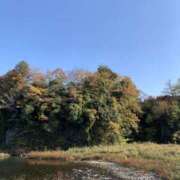 ヒメ日記 2025/12/13 01:18 投稿 ことは 所沢デリヘル桜