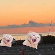 ヒメ日記 2025/08/03 17:18 投稿 佐伯（さえき） ユカノモリ