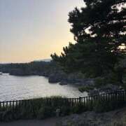 ヒメ日記 2025/09/01 11:37 投稿 佐伯（さえき） ユカノモリ