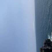 ヒメ日記 2025/09/02 15:24 投稿 佐伯（さえき） ユカノモリ