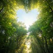 ヒメ日記 2025/09/15 01:58 投稿 佐伯（さえき） ユカノモリ