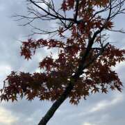 ヒメ日記 2025/10/11 13:48 投稿 佐伯（さえき） ユカノモリ