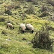 ヒメ日記 2025/11/03 14:47 投稿 佐伯（さえき） ユカノモリ