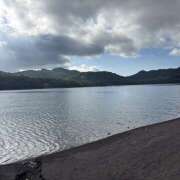 ヒメ日記 2025/11/14 16:05 投稿 佐伯（さえき） ユカノモリ