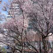 ひめな 来週から少しだけ👶🏻 PRIME