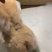 ヒメ日記 2026/01/22 01:49 投稿 An　アン XOXO Hug&Kiss 神戸店