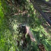 ヒメ日記 2025/08/06 17:57 投稿 ゆうり 神田エマニエル