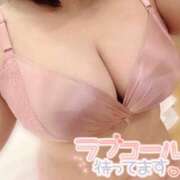 ヒメ日記 2025/08/02 18:53 投稿 あられ 山梨甲府甲斐ちゃんこ