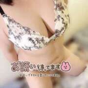 ヒメ日記 2026/02/06 23:11 投稿 あられ 山梨甲府甲斐ちゃんこ