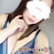 ヒメ日記 2026/02/28 16:17 投稿 あられ 山梨甲府甲斐ちゃんこ