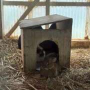 ヒメ日記 2025/08/21 22:45 投稿 神木心晴 お姉さんCLUB