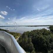 ヒメ日記 2025/09/23 16:24 投稿 神木心晴 お姉さんCLUB