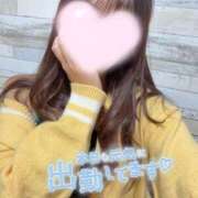 ヒメ日記 2025/09/26 14:09 投稿 神木心晴 お姉さんCLUB