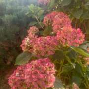 ヒメ日記 2025/10/15 13:51 投稿 神木心晴 お姉さんCLUB