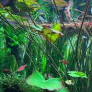 ヒメ日記 2026/01/20 18:19 投稿 神木心晴 お姉さんCLUB