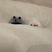 ヒメ日記 2026/02/24 13:18 投稿 神木心晴 お姉さんCLUB