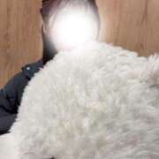 ヒメ日記 2026/03/08 14:19 投稿 神木心晴 お姉さんCLUB