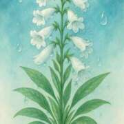 ヒメ日記 2025/07/05 12:09 投稿 ゆき 札幌回春性感マッサージ倶楽部