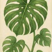 ヒメ日記 2025/07/09 14:48 投稿 ゆき 札幌回春性感マッサージ倶楽部