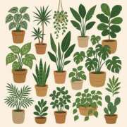 ヒメ日記 2025/07/13 12:13 投稿 ゆき 札幌回春性感マッサージ倶楽部