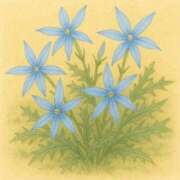 ヒメ日記 2025/07/15 12:11 投稿 ゆき 札幌回春性感マッサージ倶楽部