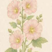 ゆき お昼から♪ 札幌回春性感マッサージ倶楽部