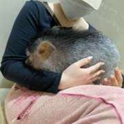 ヒメ日記 2025/07/12 22:45 投稿 もも ごほうびSPA五反田店