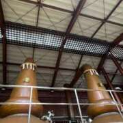 ヒメ日記 2025/09/05 23:22 投稿 星凪【セナ】 輝女