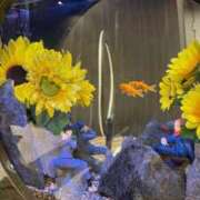 ヒメ日記 2025/09/24 15:51 投稿 星凪【セナ】 輝女