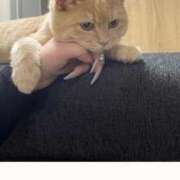 ヒメ日記 2025/08/07 13:44 投稿 ゆみ☆完全未経験ちゃん JKサークル