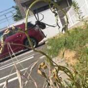 ヒメ日記 2025/08/20 19:45 投稿 ゆみ☆完全未経験ちゃん JKサークル