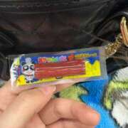 ヒメ日記 2025/09/17 20:28 投稿 ゆみ☆完全未経験ちゃん JKサークル