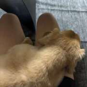 ヒメ日記 2025/10/14 17:26 投稿 ゆみ☆完全未経験ちゃん JKサークル