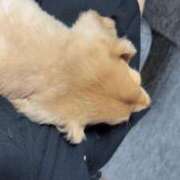 ヒメ日記 2025/10/20 23:01 投稿 ゆみ☆完全未経験ちゃん JKサークル