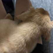 ヒメ日記 2025/11/24 18:29 投稿 ゆみ☆完全未経験ちゃん JKサークル