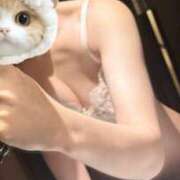 ヒメ日記 2025/11/26 15:06 投稿 ゆみ☆完全未経験ちゃん JKサークル