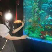 ヒメ日記 2026/08/01 15:02 投稿 ゆみ☆完全未経験ちゃん JKサークル