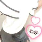 ヒメ日記 2025/07/28 09:07 投稿 和久井　わか【奥様】 isai～愛妻