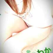 ヒメ日記 2025/08/22 01:07 投稿 和久井　わか【奥様】 isai～愛妻