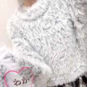 ヒメ日記 2025/11/19 08:45 投稿 和久井　わか【奥様】 isai～愛妻